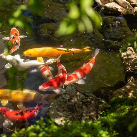 Suiun Hotel Hakone Bagian luar foto